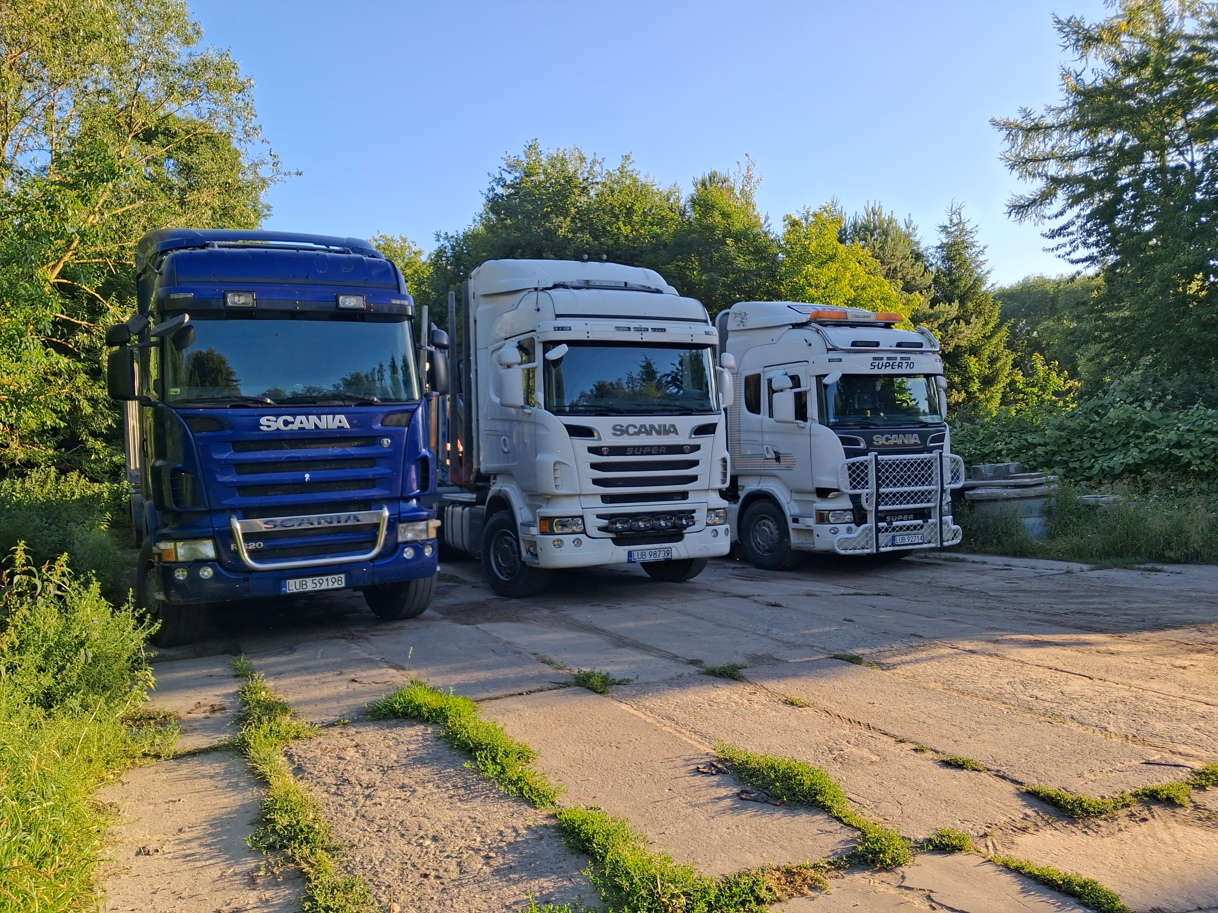 Transport Drewna