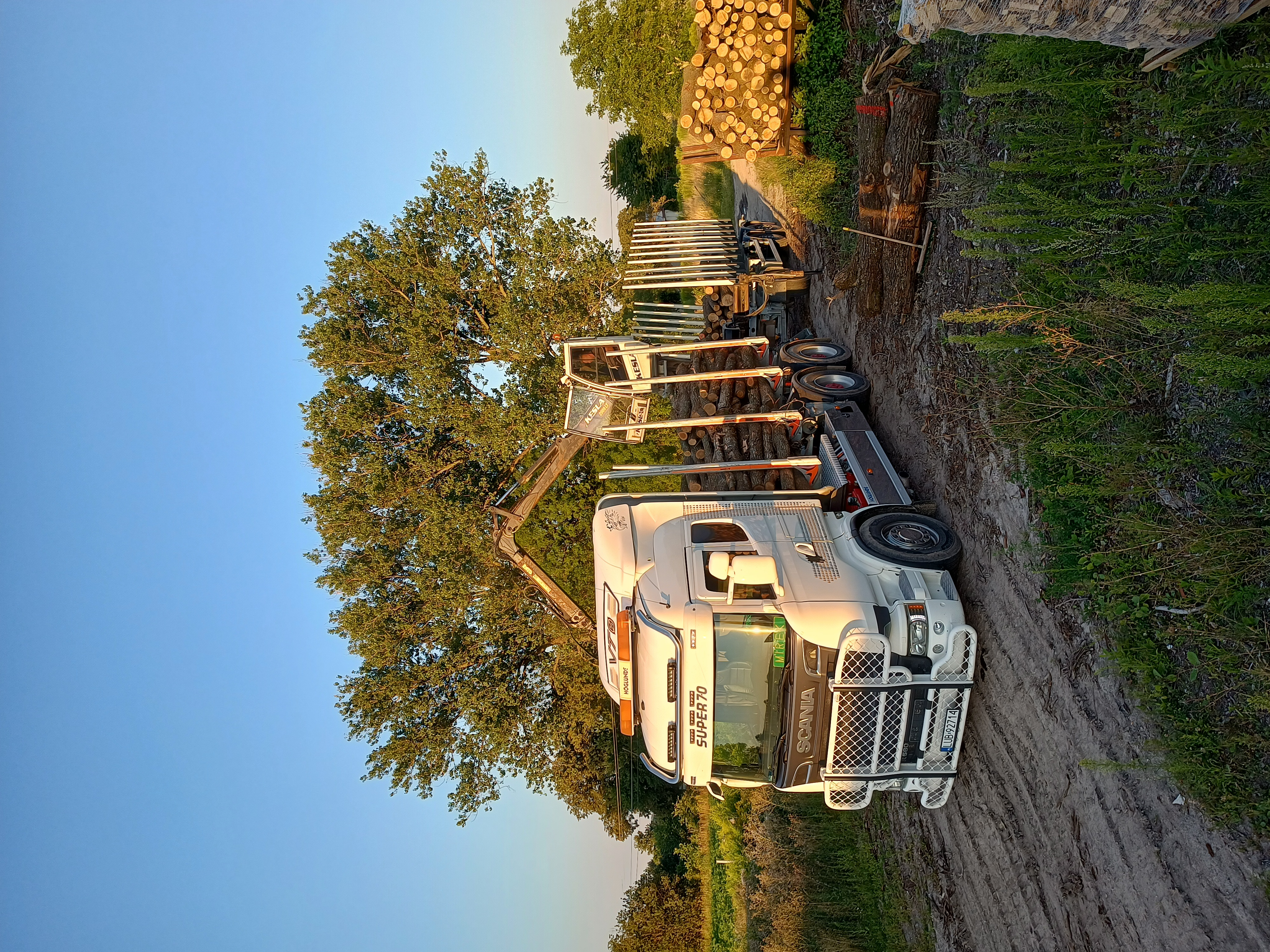 O nas - Transport Drewna